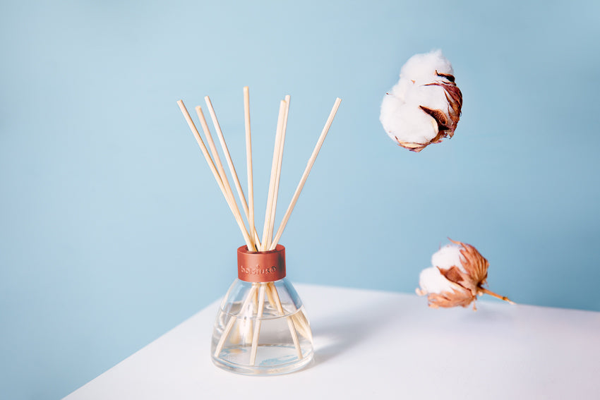 Bolsius Duftstäbchen