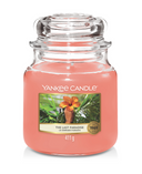 Yankee Candle Duftkerze Medium The Last Paradise - 13 cm / ø 11 cm