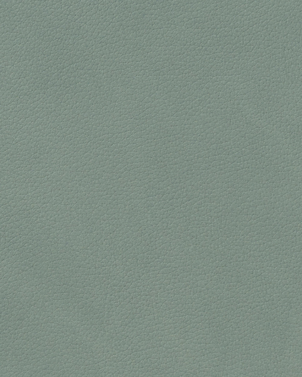 LIND DNA Tischsets Nupo - Leder - Pastellgrün - 45 x 35 cm - 2 Stück