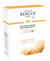 Maison Berger Nachfüllung - für Auto-Parfüm - Aroma Happy - Sparkling Zest - 2 Stücke