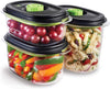 FoodSaver Fresh 2.0 Aufbewahrungsboxen 3 Stück - 700 ml, 1.2 Liter und 1.8 Liter