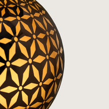 Maison Berger Nebeldiffusor Pomelis – Splendeur Vanillée