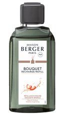 Maison Berger Nachfüllung - für Duftstäbchen - Exquisite Sparkle - 200 ml