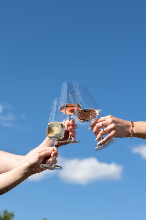 Schott Zwiesel Champagnerflöten MioVino - 260 ml - 4 Stück