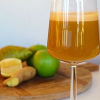 Rezept für langsamen Saft mit Karotte, Ingwer und Zitrone