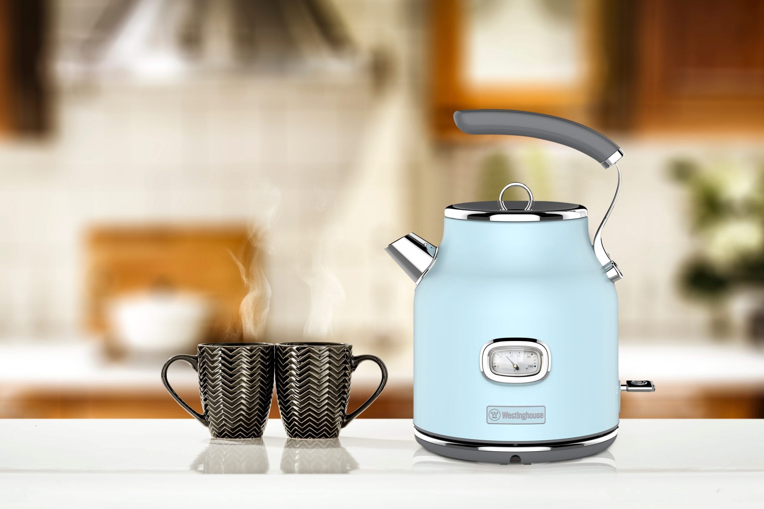 ECG RK 1758 Wasserkocher – 1,7 Liter, Blau-weiß, Kunststoff, Mit Beleuchtetem Wasserstand & Filter