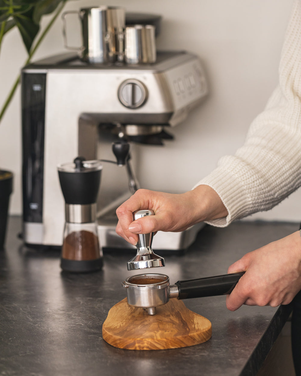 Jay Hill Kaffee Barista Tamper - Edelstahl - ø 5 cm