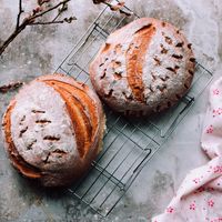 Dinkelbrötchen herstellen