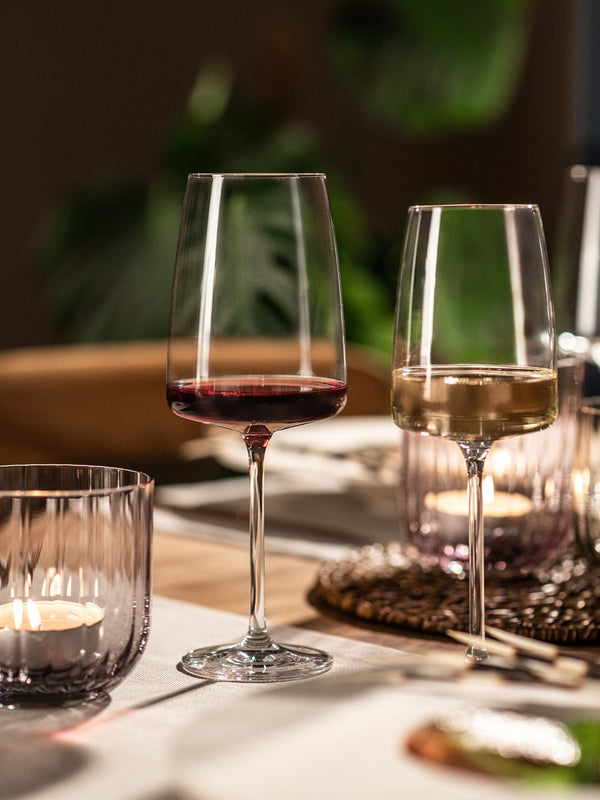 Zwiesel Glas Vivid Senses